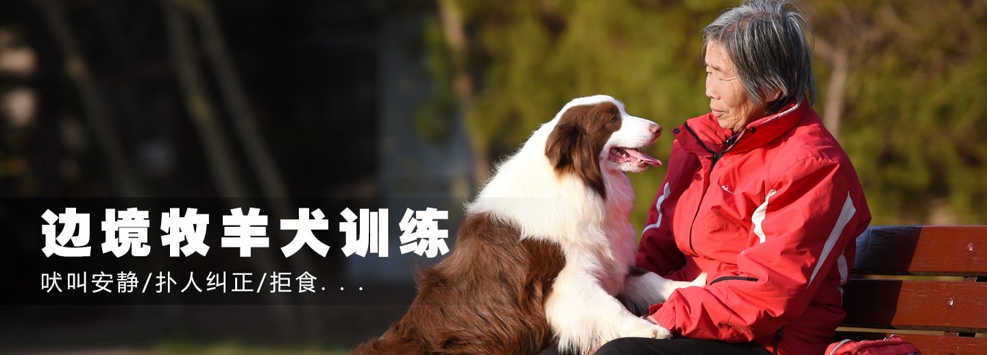 训练