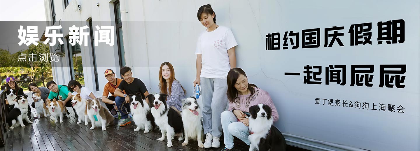 娱乐新闻